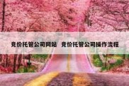 竞价托管公司网站  竞价托管公司操作流程