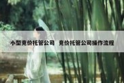 小型竞价托管公司  竞价托管公司操作流程