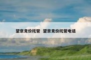 望京竞价托管  望京竞价托管电话