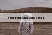 包含望牛墩镇抖音代运营报价的词条