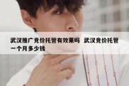 武汉推广竞价托管有效果吗  武汉竞价托管一个月多少钱