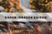 百竞价托管（百度竞价托管 宜选1号总管）