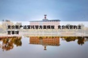 竞价账户运营托管方案模板  竞价托管的注意事项
