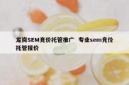龙岗SEM竞价托管推广  专业sem竞价托管报价