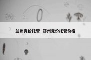 兰州竞价托管  郑州竞价托管价格