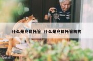 什么是竞价托管  什么是竞价托管机构
