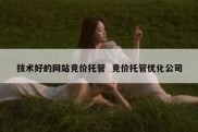 技术好的网站竞价托管  竞价托管优化公司