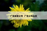 广告加盟公司  广告公司加盟