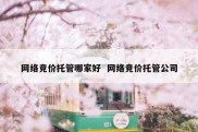 网络竞价托管哪家好  网络竞价托管公司