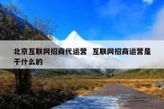 北京互联网招商代运营  互联网招商运营是干什么的
