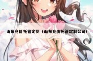 山东竞价托管定制（山东竞价托管定制公司）