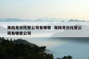 海阳竞价托管公司有哪些  海阳竞价托管公司有哪些公司