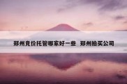 郑州竞价托管哪家好一些  郑州拍买公司