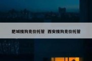 肥城搜狗竞价托管  西安搜狗竞价托管