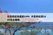 抖音粉丝快速到1000  抖音粉丝到1000怎么赚钱