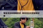 莱芜竞价托管哪家好  莱芜竞价托管哪家好些