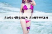 竞价后台托管在线咨询  竞价托管哪家正规