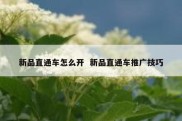 新品直通车怎么开  新品直通车推广技巧