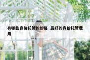 有哪些竞价托管的价格  最好的竞价托管费用