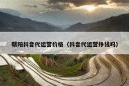 朝阳抖音代运营价格（抖音代运营挣钱吗）