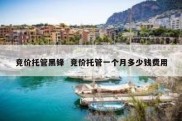竞价托管黑锋  竞价托管一个月多少钱费用