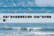 抖音广告代运营哪家公司好（抖音广告代理加盟）