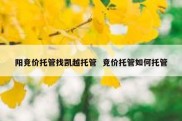 阳竞价托管找凯越托管  竞价托管如何托管
