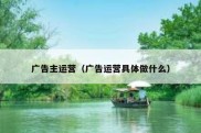 广告主运营（广告运营具体做什么）