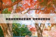 制造业短视频运营案例  短视频运营创业