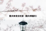 魏大帅竞价托管（魏大师图片）