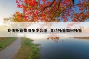 竞价托管费用多少合适  竞价托管如何托管
