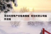 竞价托管账户价格表模板  竞价托管公司操作流程