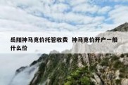 岳阳神马竞价托管收费  神马竞价开户一般什么价
