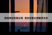 资阳竞价托管公司  竞价托管公司联系方式