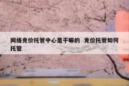 网络竞价托管中心是干嘛的  竞价托管如何托管