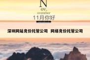 深圳网站竞价托管公司  网络竞价托管公司