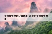 竞价托管优化公司费用  最好的竞价托管费用