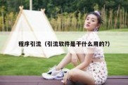 程序引流（引流软件是干什么用的?）
