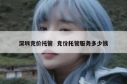 深圳竞价托管  竞价托管服务多少钱
