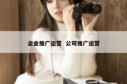 企业推广运营  公司推广运营
