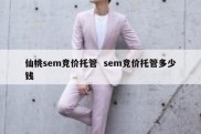 仙桃sem竞价托管  sem竞价托管多少钱