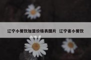 辽宁小餐饮加盟价格表图片  辽宁省小餐饮