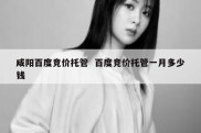 咸阳百度竞价托管  百度竞价托管一月多少钱
