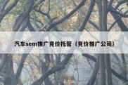 汽车sem推广竞价托管（竞价推广公司）