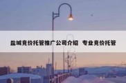 盐城竞价托管推广公司介绍  专业竞价托管