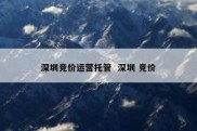 深圳竞价运营托管  深圳 竞价