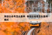 微信公众号怎么盈利  微信公众号怎么盈利模式
