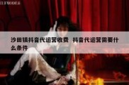沙田镇抖音代运营收费  抖音代运营需要什么条件
