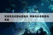 天津竞价托管收费情况  天津竞价系统查询系统