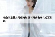 湖南代运营公司招商加盟（湖南电商代运营公司）